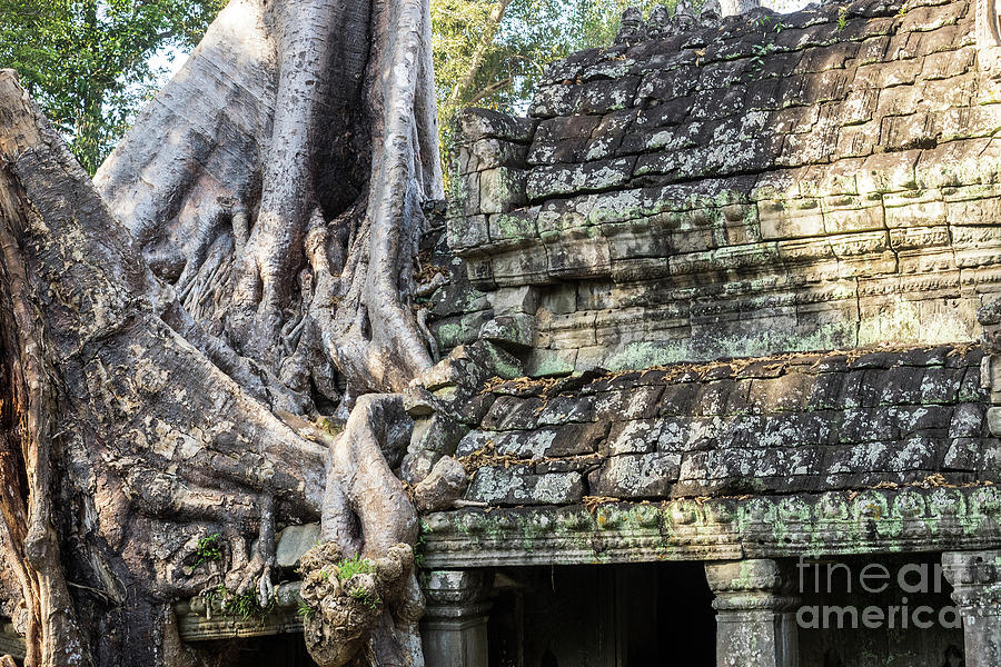 Preah Khan Roots and Stone 01 Photograph by Rick Piper Photography