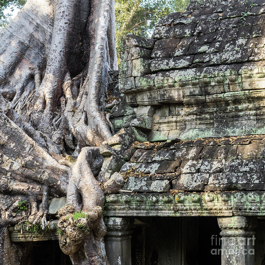 Preah Khan Roots and Stone 02 Photograph by Rick Piper Photography