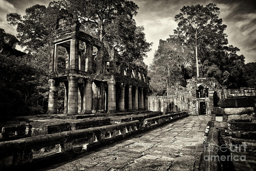 Preah Khan Temple, Angkor Wat, Cambodia Photograph by Sam Antonio