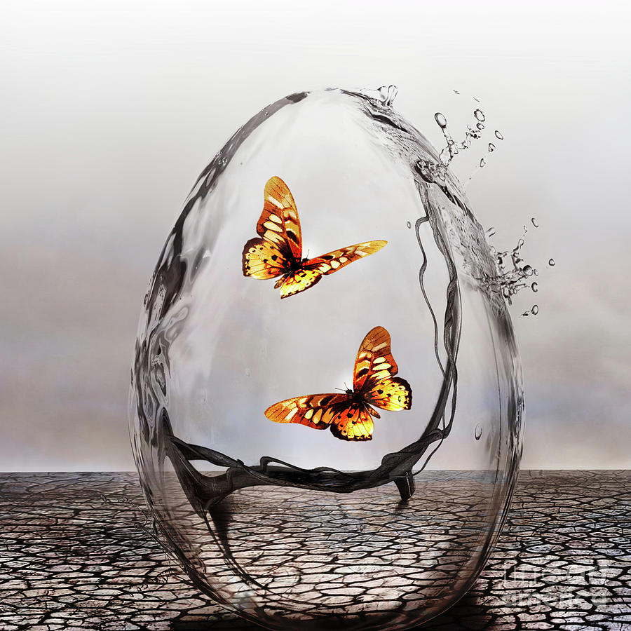 Precious by Jacky Gerritsen Precious by Jacky Gerritsen