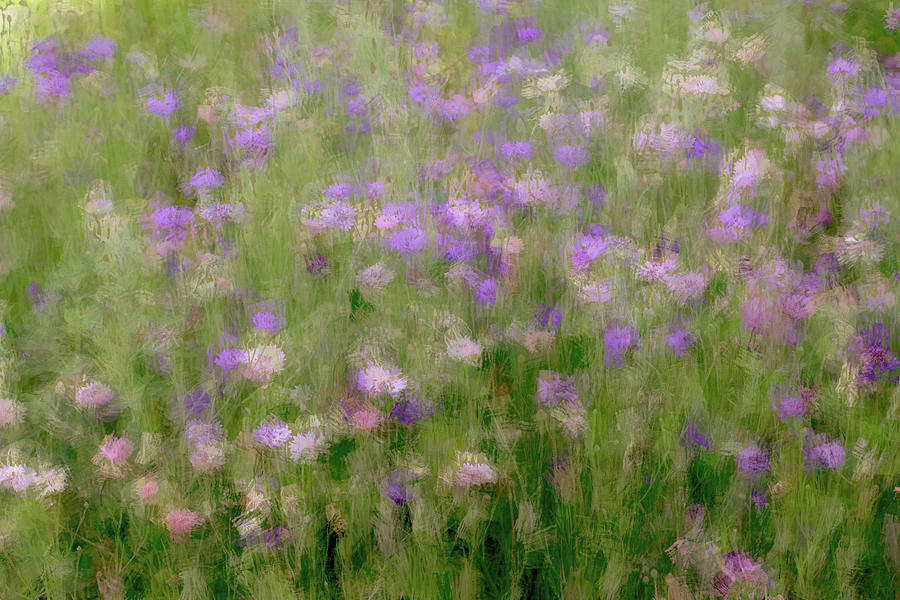 Precious Meadow Painting by The Art Of Marilyn Ridoutt-Greene