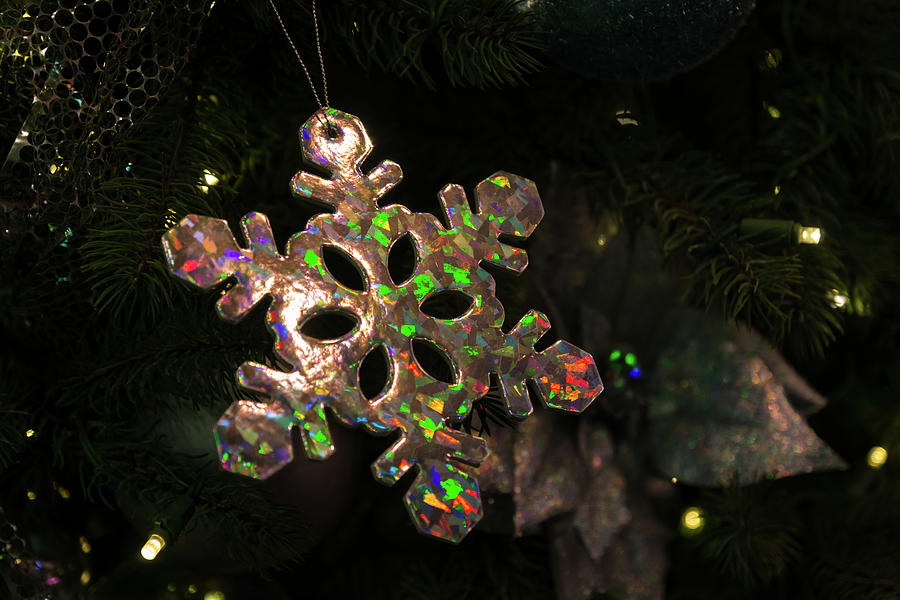 Precious Opal Snowflake Color Play Photograph by Georgia Mizuleva