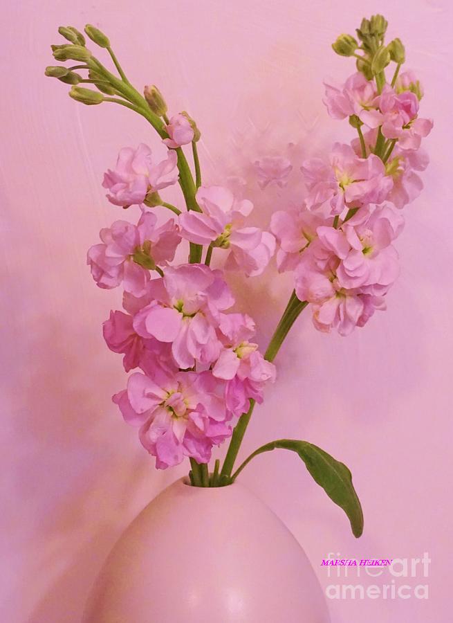Precious Pink Petals Photograph by Marsha Heiken