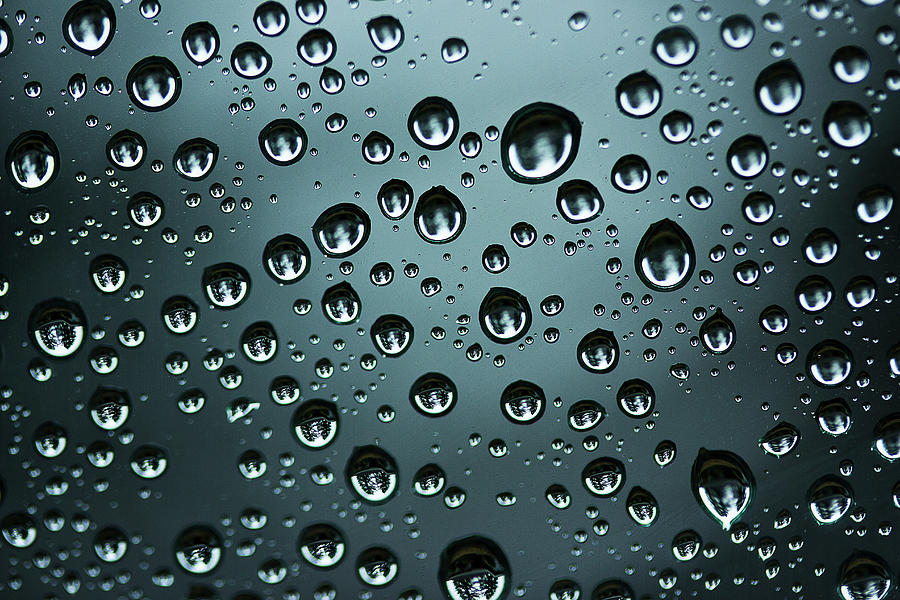 Precipitation Photograph by Morgan Wright