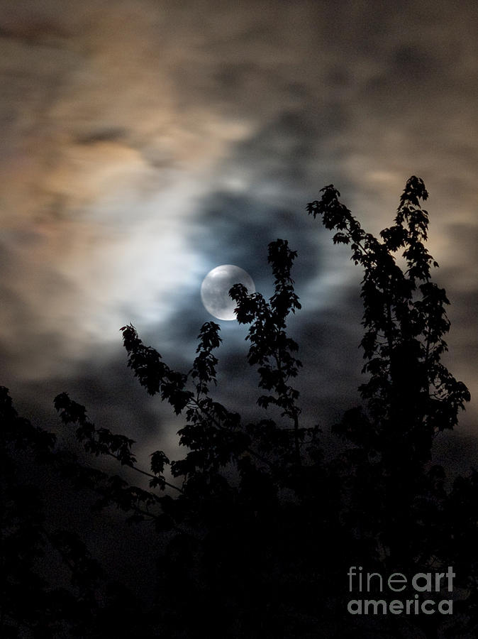 Preclude To Supermoon On A Cloudy Friday Photograph by Dorothy Lee