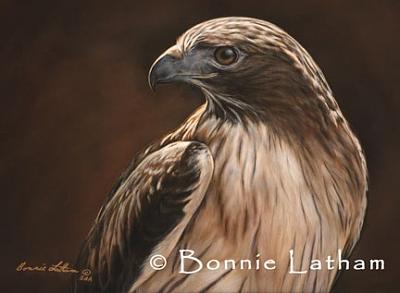 Miniature Painting - Predator - Red Tailed Hawk by Bonnie Latham Miniature Painting - Predator - Red Tailed Hawk by Bonnie Latham