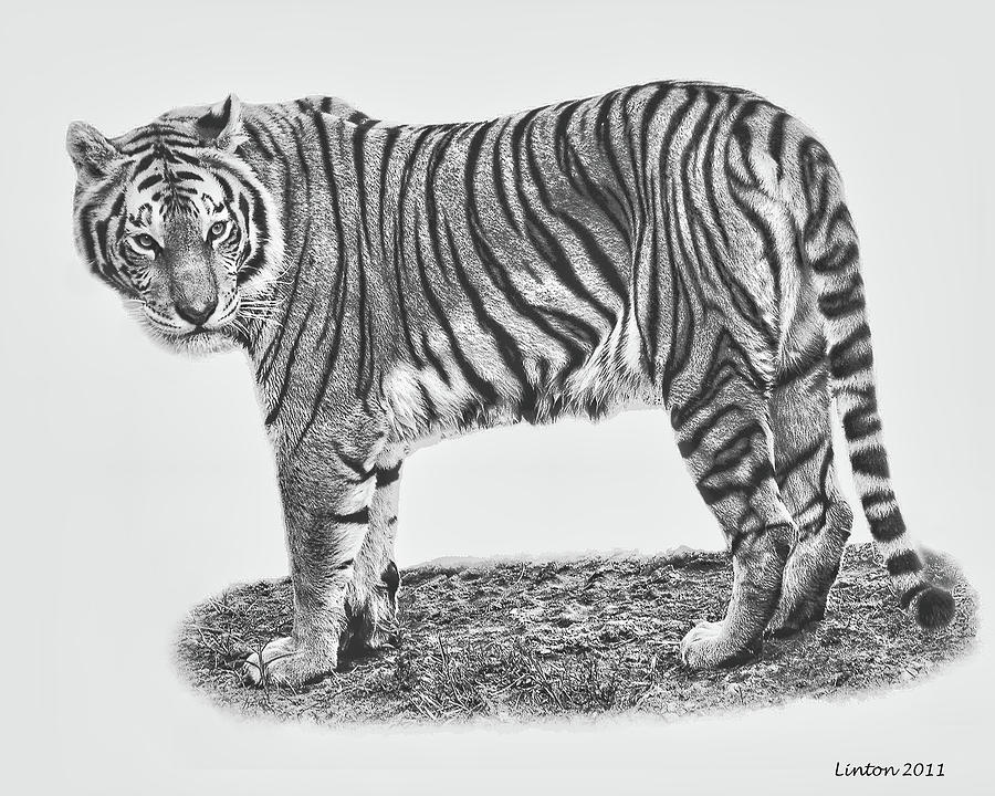Predator Portrait Digital Art by Larry Linton