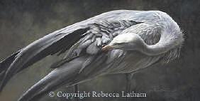 Blue Crane Painting - Preening - Blue Crane by Rebecca Latham Blue Crane Painting - Preening - Blue Crane by Rebecca Latham