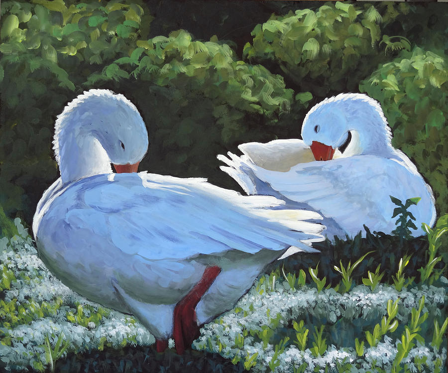 Preening Painting by Ande Hall
