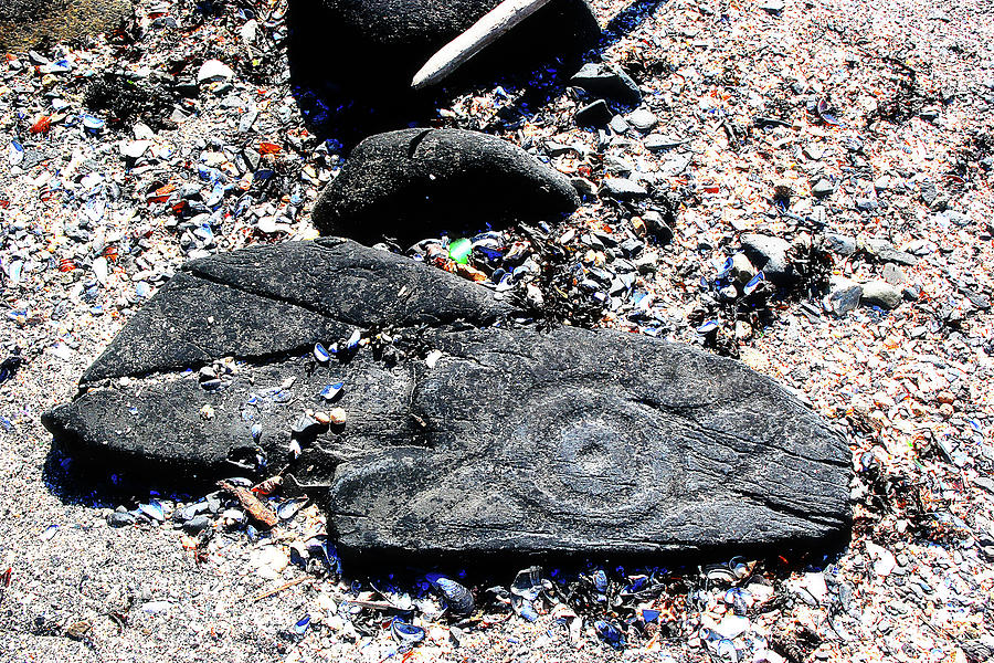 Prehistoric Find by Simone Hester Prehistoric Find by Simone Hester