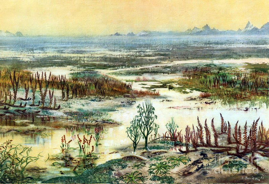 Prehistoric, Lower Devonian Landscape Photograph by Science Source