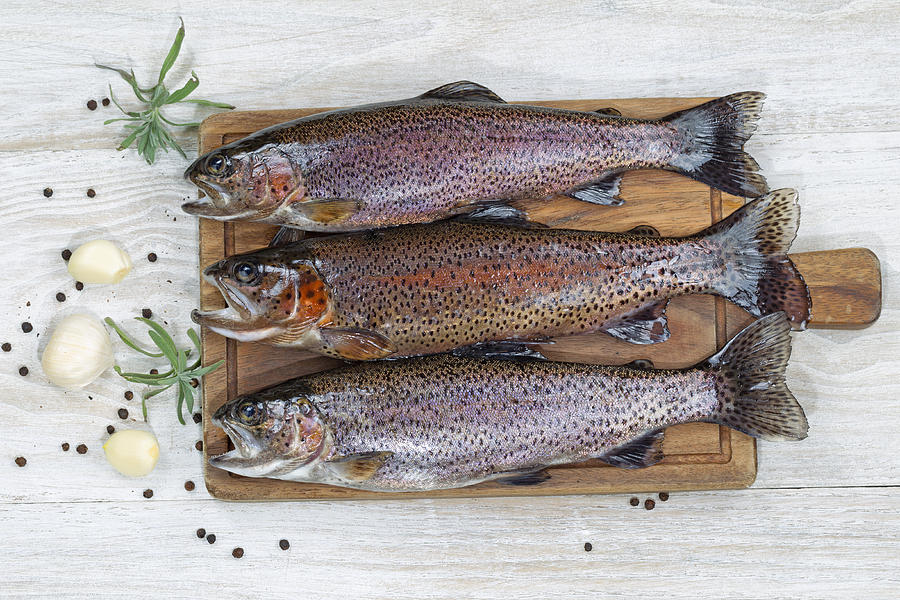 Preparing Trout for Dinner Photograph by Thomas Baker - Pixels