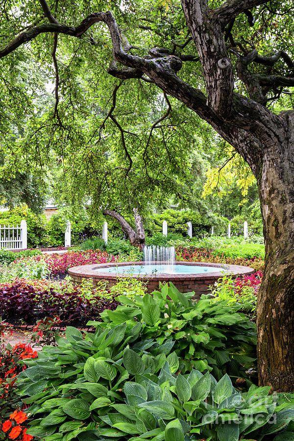 Prescott Park Flower Gardens Portsmouth New Hampshire Photograph by Dawna Moore Photography