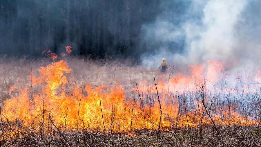 Prescribed Burn - UW Arboretum - Madison - Wisconsin Photograph by Steven Ralser