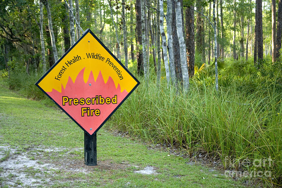 Sign Photograph - Prescribed Fire Warning Sign by Inga Spence