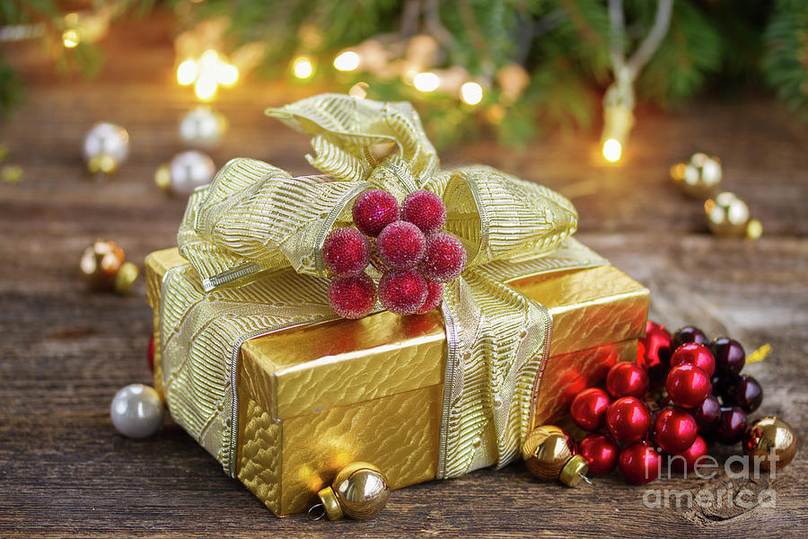 Present for Christmas Photograph by Anastasy Yarmolovich
