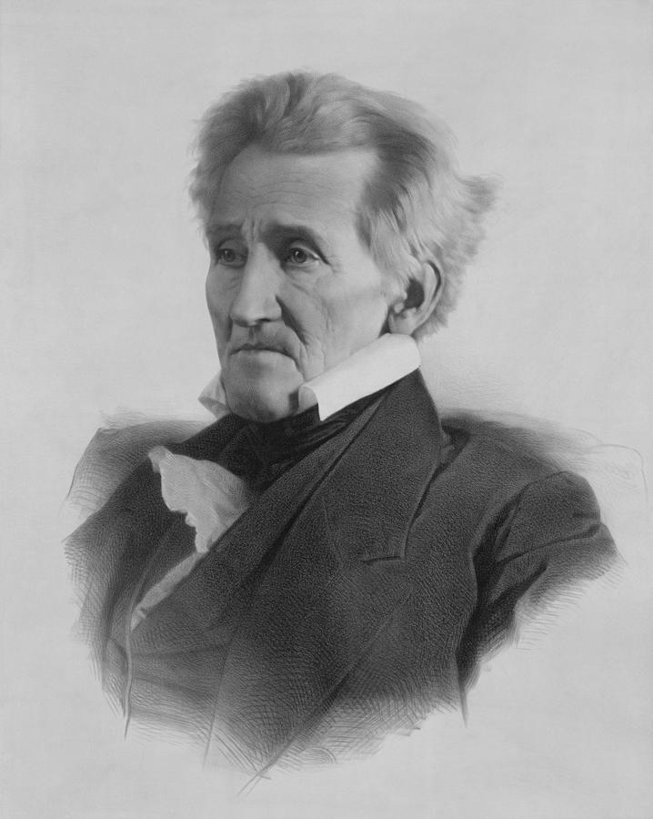 President Andrew Jackson - Three Drawing by War Is Hell Store