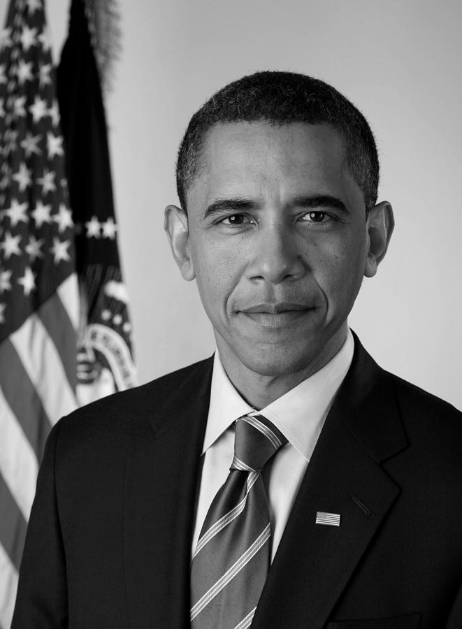 President Barack Obama - Official Portrait Photograph by War Is Hell Store