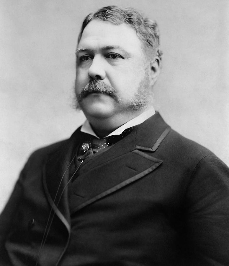 President Chester A. Arthur - 1882 Photograph by War Is Hell Store