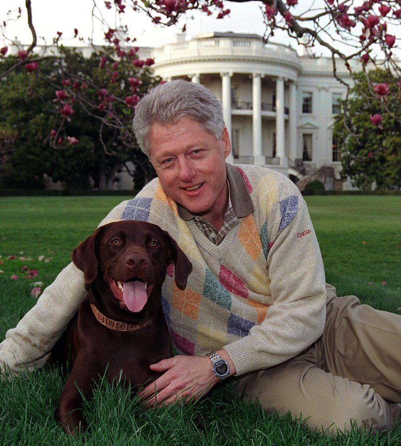 President clinton and buddy close up Photograph by White House - Fine ...