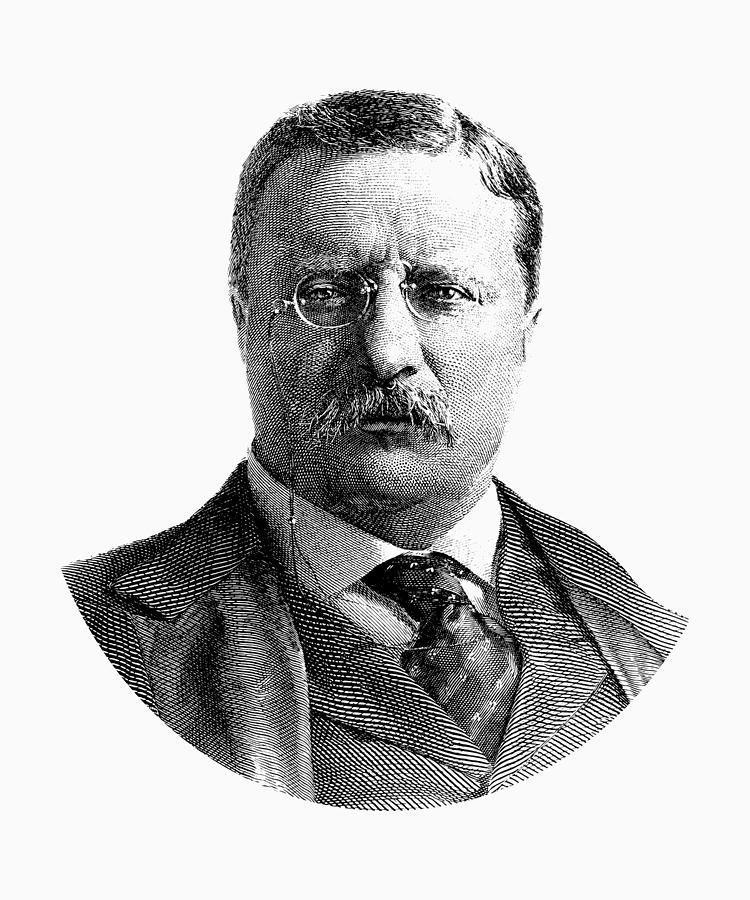 President Theodore Roosevelt Graphic  Digital Art by War Is Hell Store