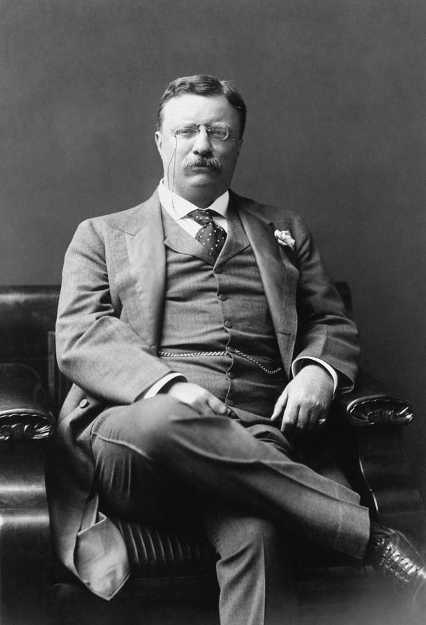 President Theodore Roosevelt - The Progressive  Photograph by War Is Hell Store