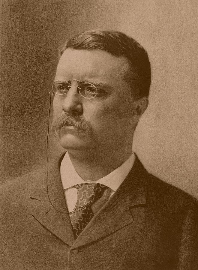 Us Presidents Drawing - President Theodore Roosevelt - Vintage by War Is Hell Store