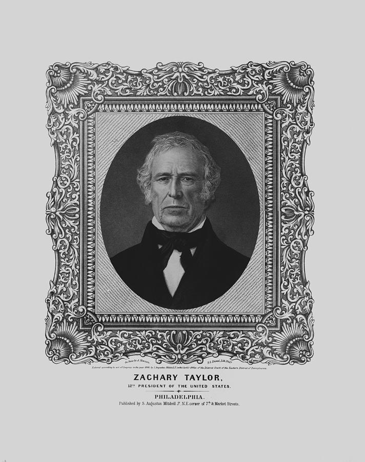 President Zachary Taylor - Vintage Portrait Drawing by War Is Hell Store