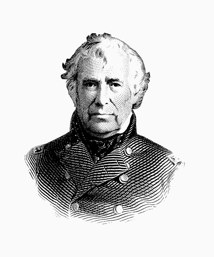 President Zachary Taylor Graphic Two Digital Art by War Is Hell Store