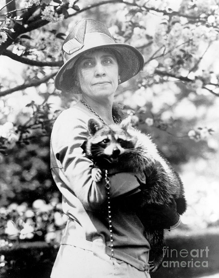 Presidential Pet, Mrs. Coolidge Photograph by Science Source