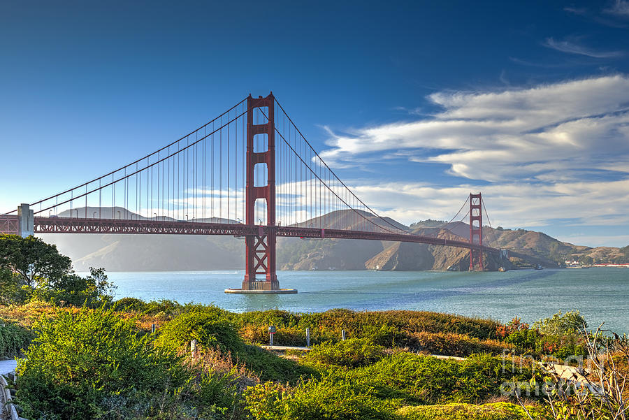 Presidio Golden Gate Bridge 10 Photograph by David Zanzinger