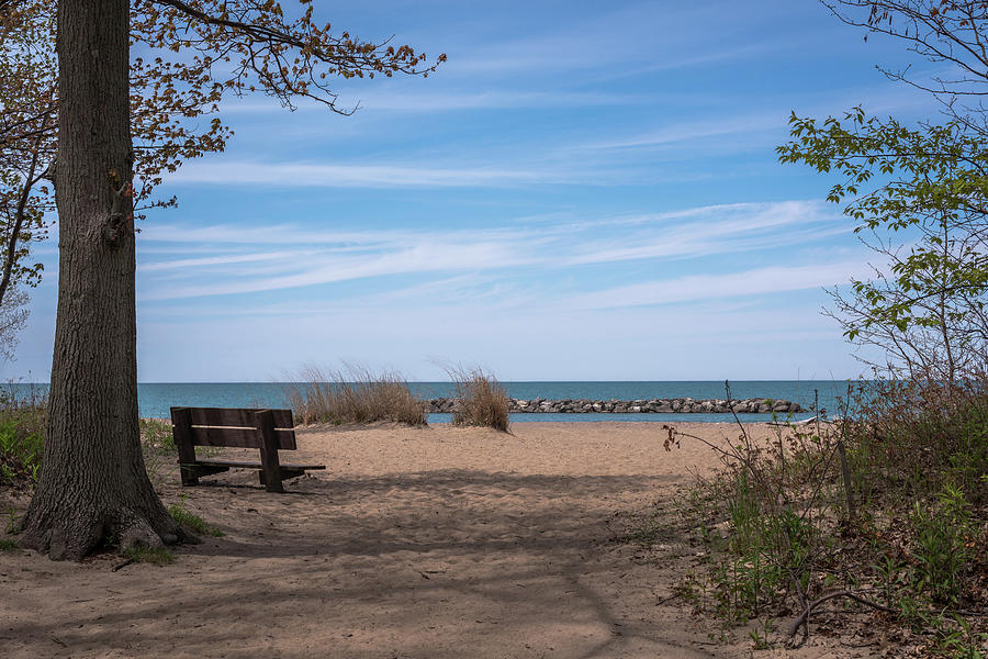 Nature Photograph - Presque Isle Beach Bench Lake Erie PA by Terry DeLuco