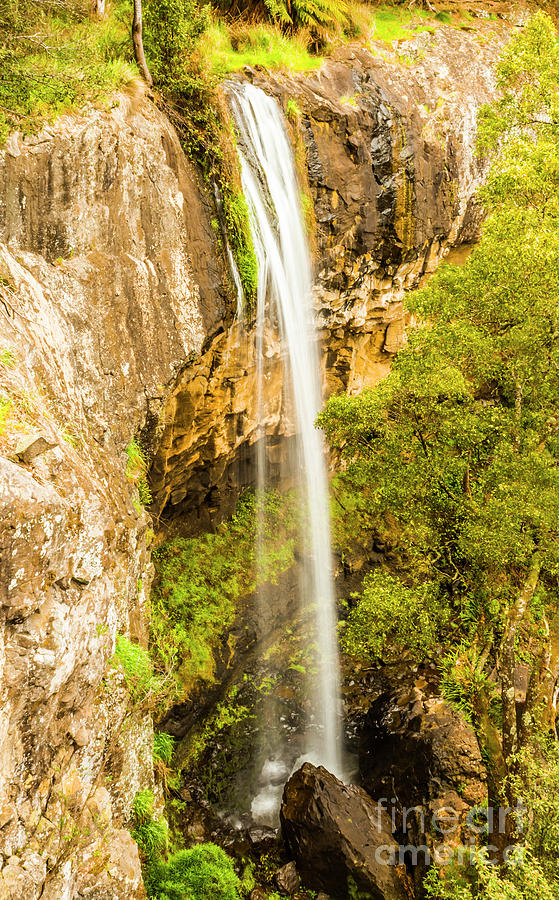Preston Falls Tasmania Photograph by Jorgo Photography