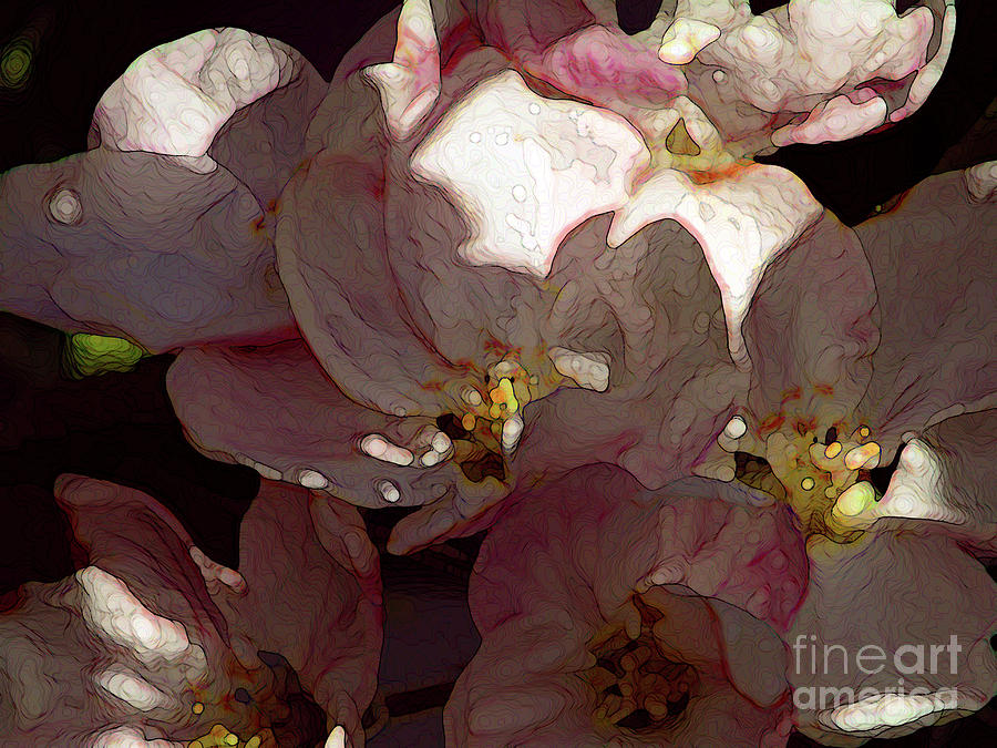 Pretty Apple Blossoms 2 Photograph by Kim Tran