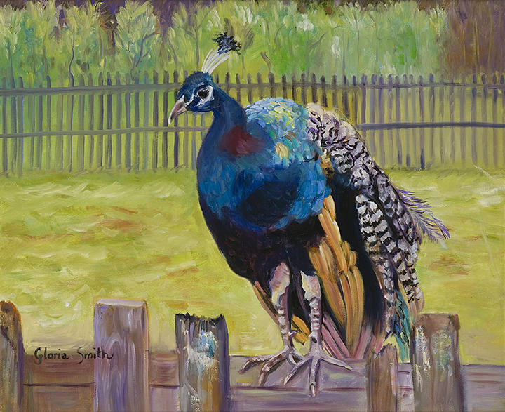 Pretty As A Peacock Painting by Gloria Smith