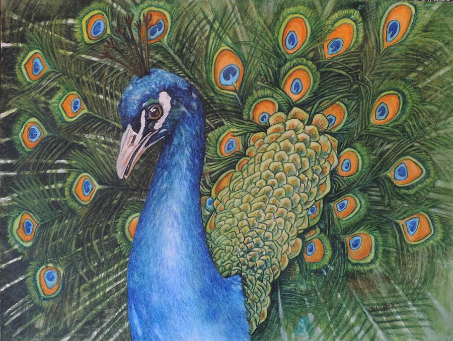 Pretty as a Peacock Painting by Jodi Higgins