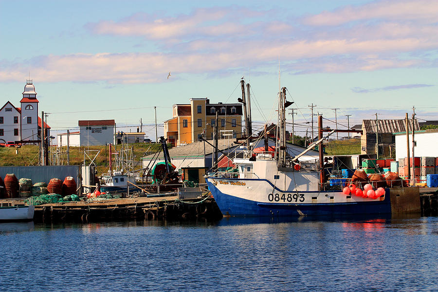 Pretty Boats Photograph by Denise Lima | Fine Art America