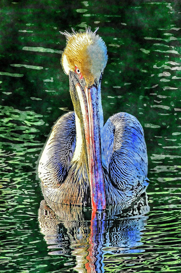Pretty Boy Photograph by HH Photography of Florida