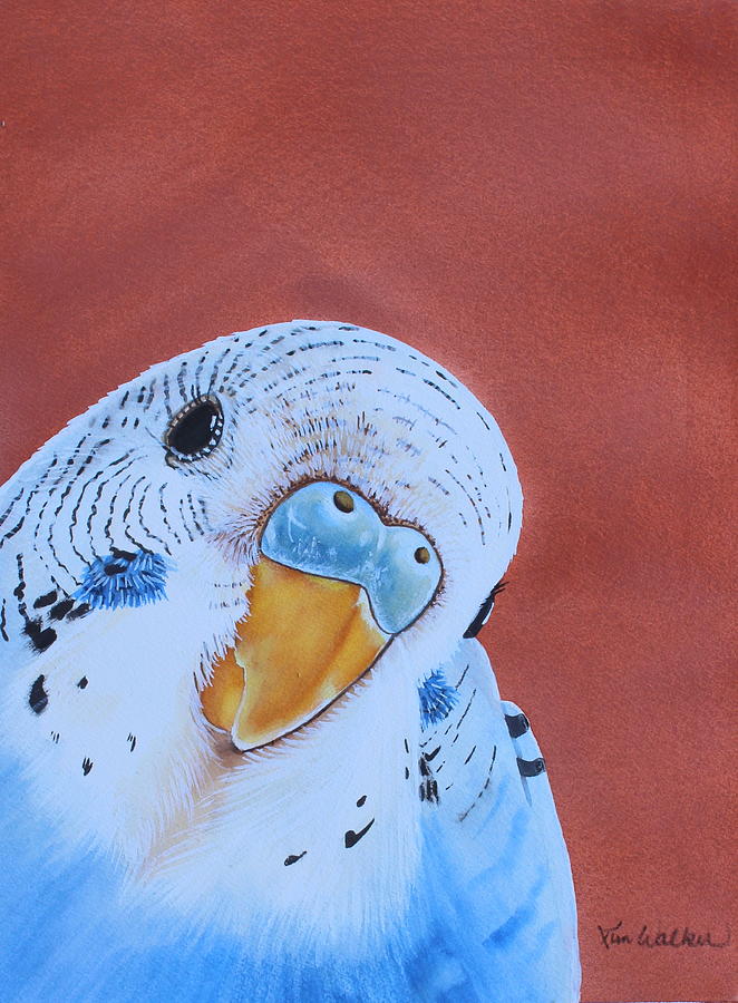 Pretty Boy Watercolor Painting by Kimberly Walker