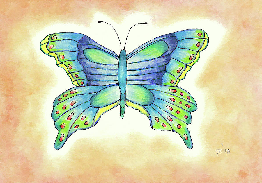 Butterfly Colour Pencil Drawing - Max Installer