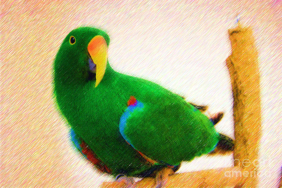 Pretty Eclectus Parrot Digital Art by Jill Lang