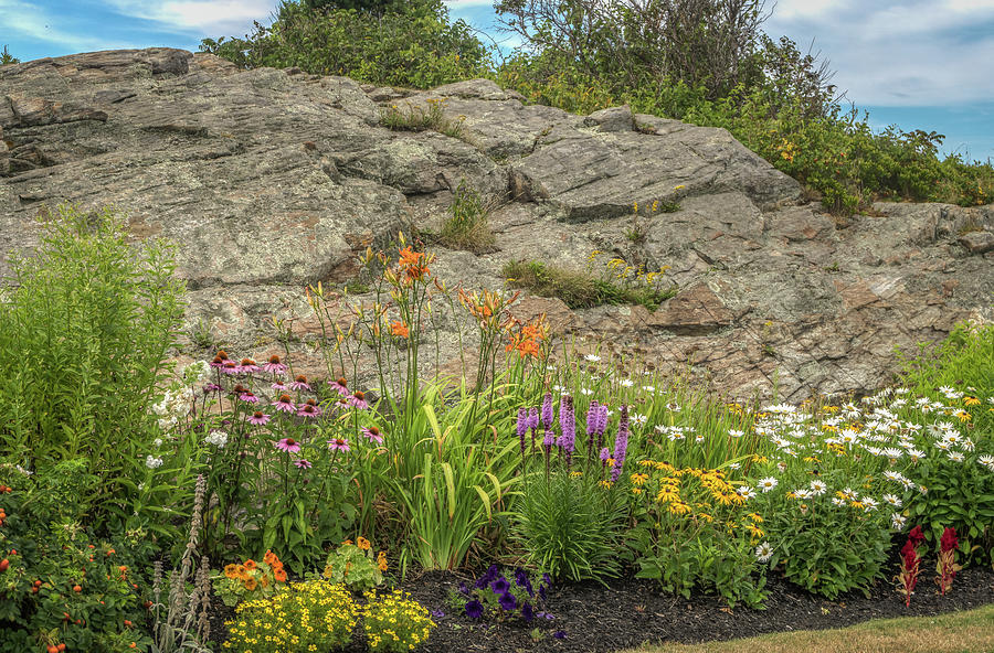 Pretty flower garden Photograph by Jane Luxton