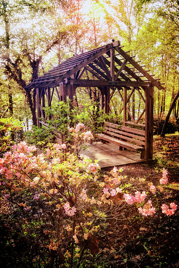 Pretty Garden Arbor Photograph by Debra and Dave Vanderlaan