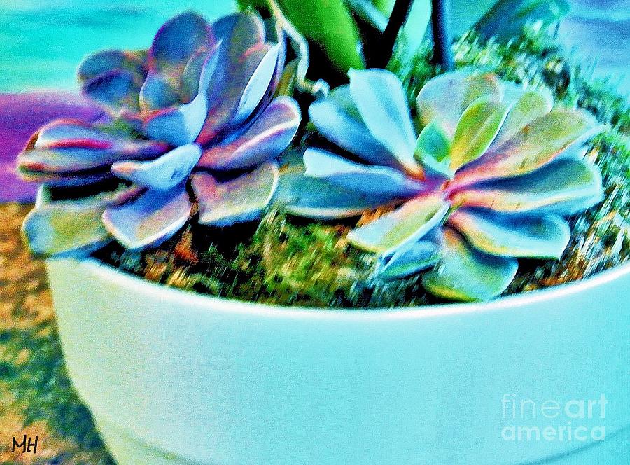 Bowl Photograph - Pretty Hens and Chicks by Marsha Heiken