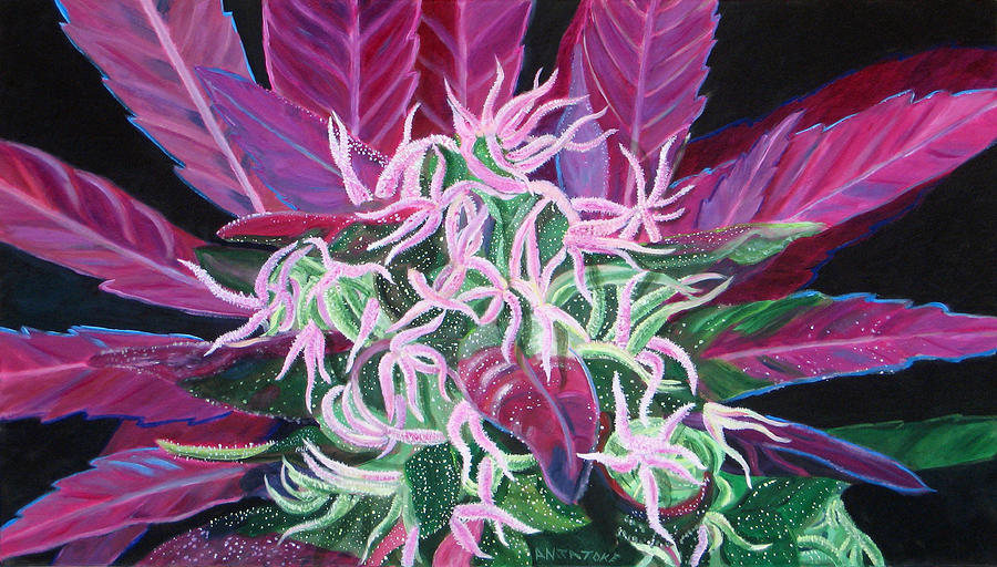 Cannabis Painting - Pretty in Pink by Anita Toke