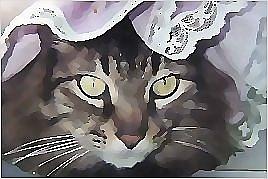 Tabbies Mixed Media - Pretty In Pink by Brenda Garacci Tabbies Mixed Media - Pretty In Pink by Brenda Garacci