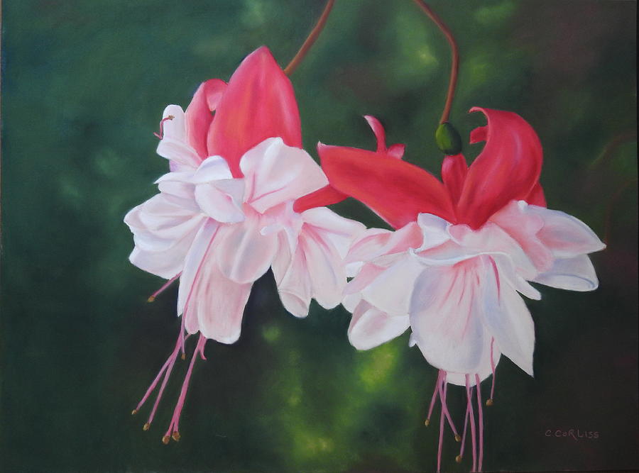 Pretty In Pink Pastel by Carol Corliss