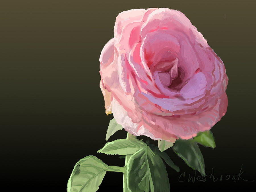 Pretty In Pink Digital Art by Cynthia Westbrook