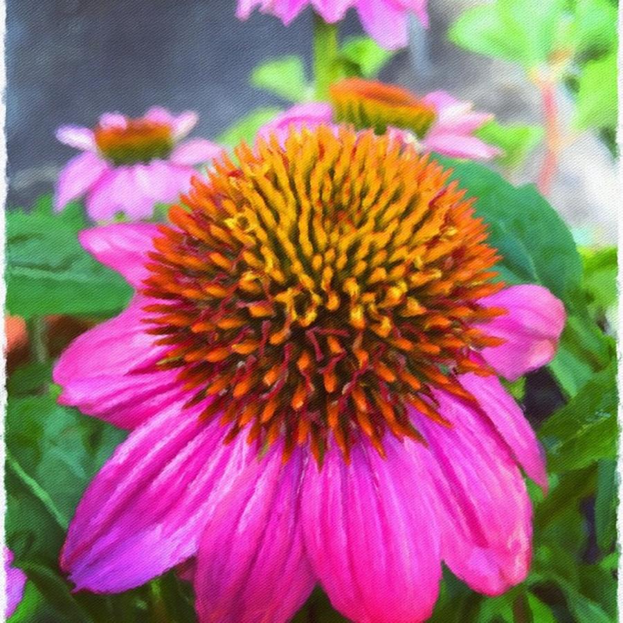Flowers Still Life Photograph - Pretty In Pink #impresso #flower by Joan McCool