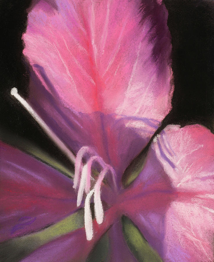 Pretty in Pink Painting by Sandi Snead
